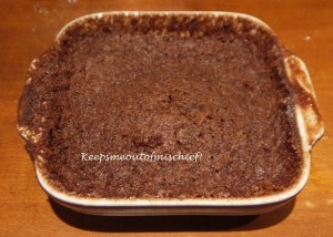 Microwave chocolate cake