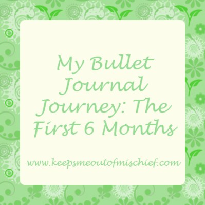 My Bullet Journal Journey the first 6 months.jpg