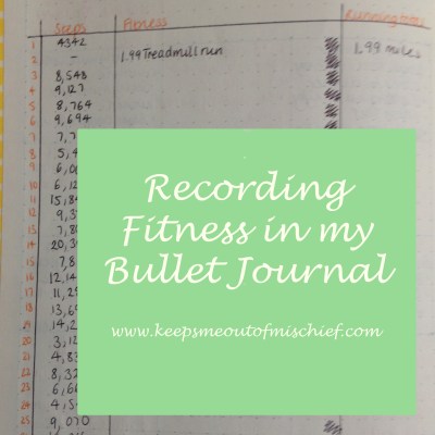 fitness recording in my bullet journal pub.jpg