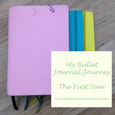 1 year of bujo pub.jpg